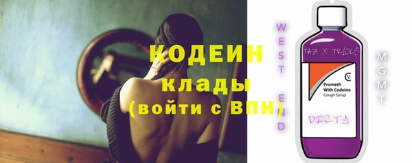 ГАЛЛЮЦИНОГЕННЫЕ ГРИБЫ Покачи