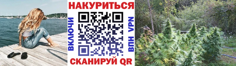 Каннабис VHQ площадка наркотические препараты Таруса закладки